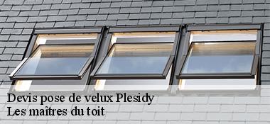 Devis pose de velux  22720