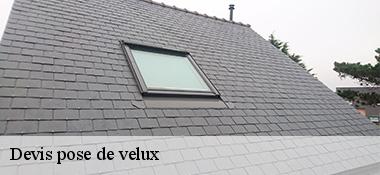 Devis pose de velux  22650
