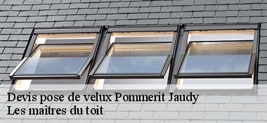 Devis pose de velux  22450