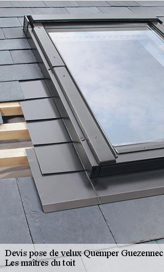 Devis pose de velux  22260