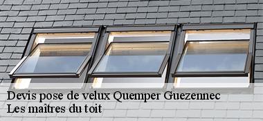 Devis pose de velux  22260