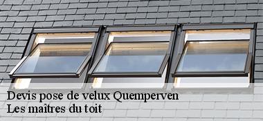 Devis pose de velux 22450