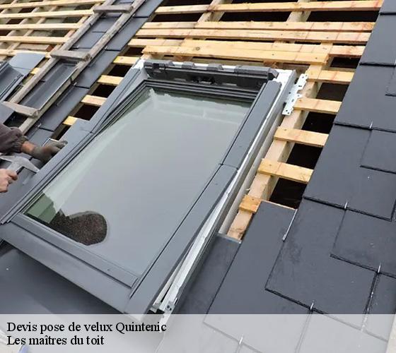 Devis pose de velux  22400