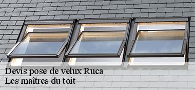 Devis pose de velux  22550