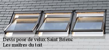 Devis pose de velux 22000