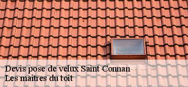 Devis pose de velux 22480