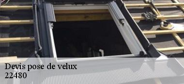 Devis pose de velux 22480