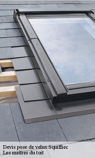 Devis pose de velux  22200