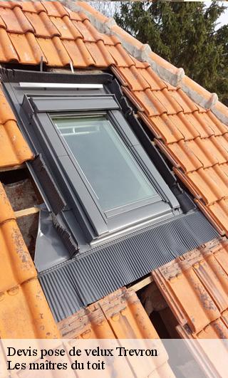 Devis pose de velux  22100