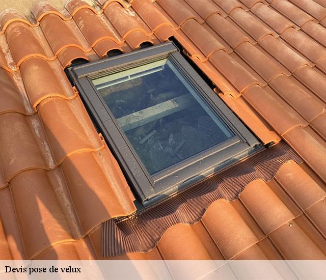Devis pose de velux  22100