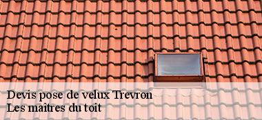 Devis pose de velux  22100