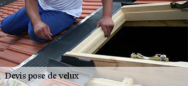 Devis pose de velux  22100