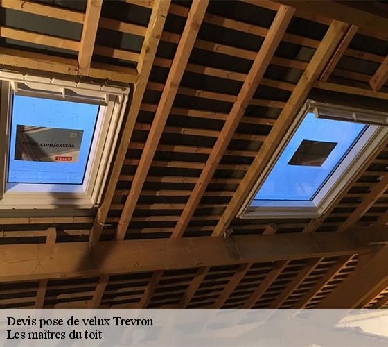 Devis pose de velux  22100