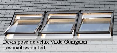 Devis pose de velux  22980