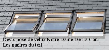 Devis pose de velux  22410