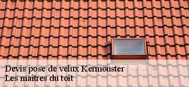 Devis pose de velux  22740