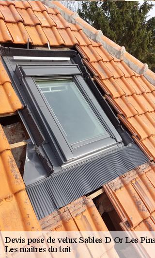 Devis pose de velux 22240