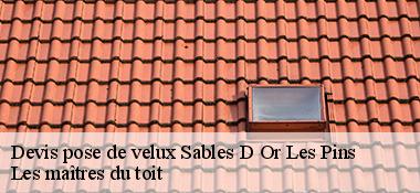 Devis pose de velux 22240