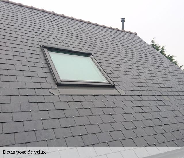Devis pose de velux 22190