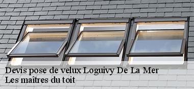Devis pose de velux  22620