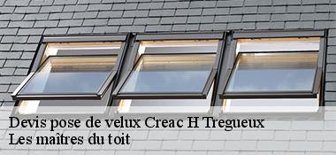 Devis pose de velux  22950