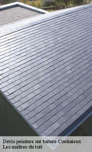 Devis peinture sur toiture  22400