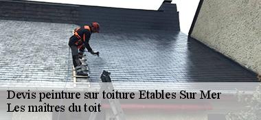 Devis peinture sur toiture 22680