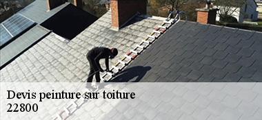 Devis peinture sur toiture  22800