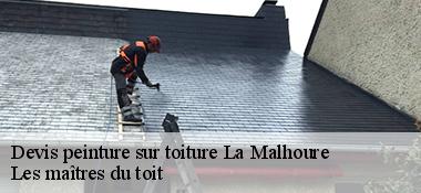 Devis peinture sur toiture  22640