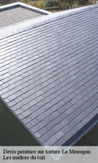 Devis peinture sur toiture  22440