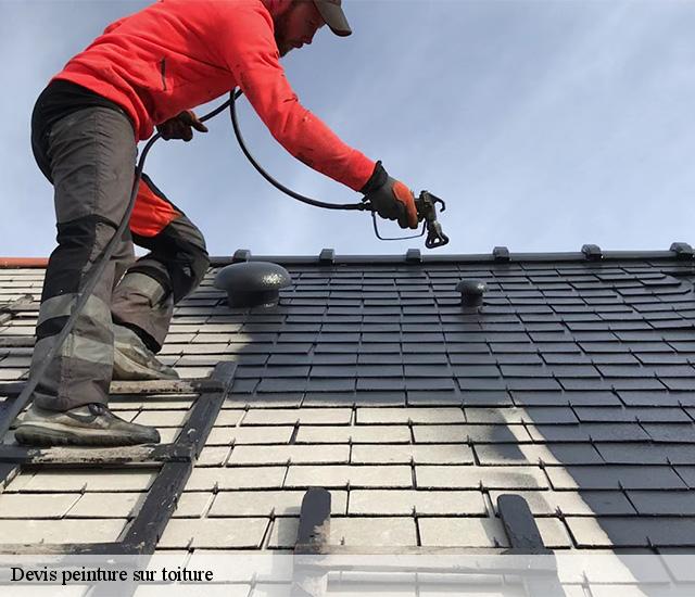 Devis peinture sur toiture  22460