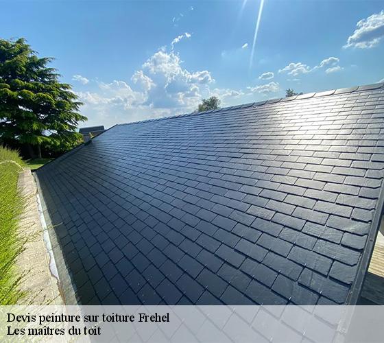 Devis peinture sur toiture 22240