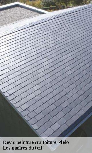 Devis peinture sur toiture  22170