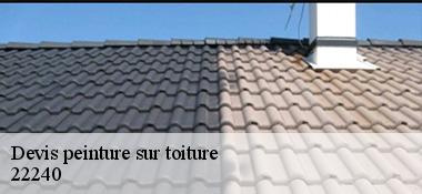 Devis peinture sur toiture  22240