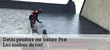 Devis peinture sur toiture  22140