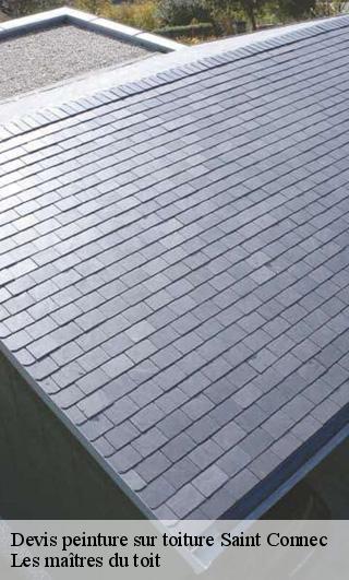 Devis peinture sur toiture  22530