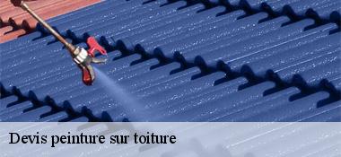 Devis peinture sur toiture 22400