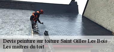 Devis peinture sur toiture  22290