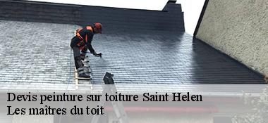 Devis peinture sur toiture 22100