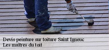 Devis peinture sur toiture 22270