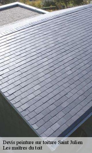 Devis peinture sur toiture  22940