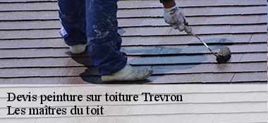 Devis peinture sur toiture 22100