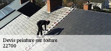 Devis peinture sur toiture  22700