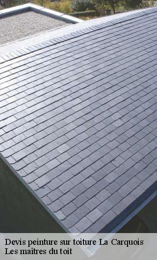 Devis peinture sur toiture  22240