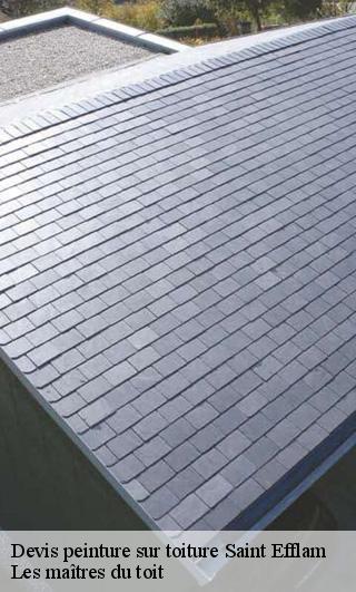 Devis peinture sur toiture  22310