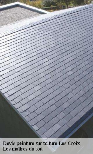 Devis peinture sur toiture  22440
