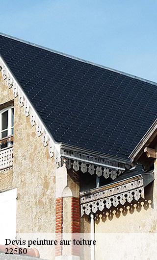Devis peinture sur toiture  22580