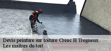 Devis peinture sur toiture  22950