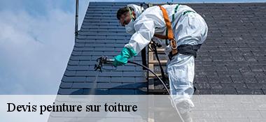 Devis peinture sur toiture  22950
