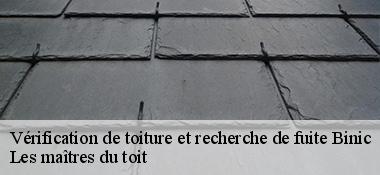 Vérification de toiture et recherche de fuite 22520